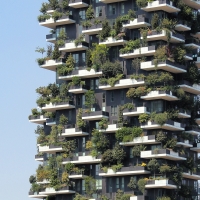 2015-10-18: vertical forest